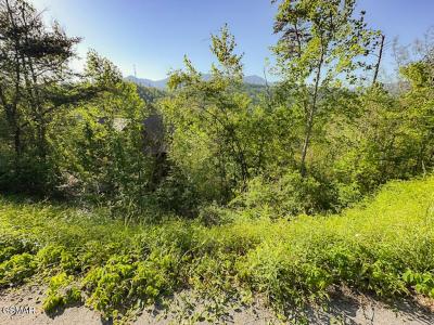 Lot 11 Pinnacle Drive, Gatlinburg, Tennessee 37738, États-Unis