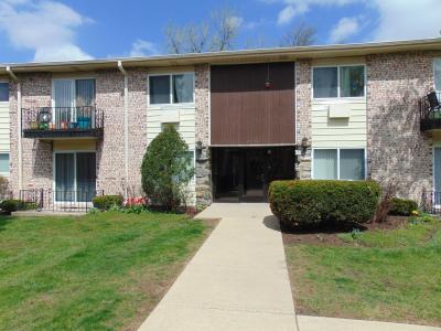 8996 Kennedy Drive , 105E, Des Plaines, Illinois 60016, États-Unis