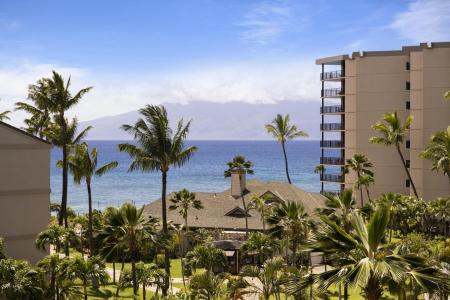 3445 Lower Honoapiilani Road, #545, Lahaina, Hawaii 96761, USA
