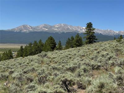 12340 Us Highway 24, Leadville, Colorado 80461, USA