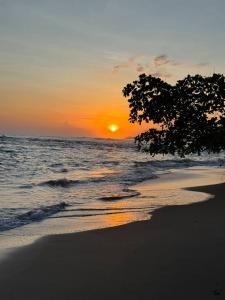 Cahuita Talamanca, Limón 70403, Costa Rica