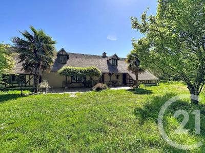 Pruniers En Sologne, Centre 41200, France