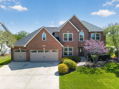 5003 Prairie Sage Ln, Naperville Il, Illinois 60564, USA