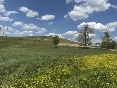 1090 Pittsburg Landing Tract 30, 伦敦, 肯塔基州 40741, 美国