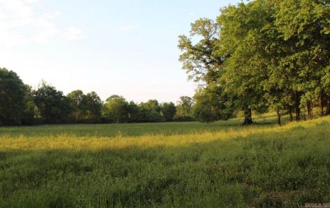 299 Harmony Lane, Amity, Arkansas 71921, USA