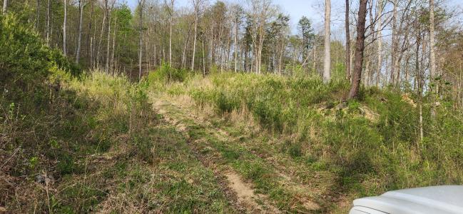Stinson Creek Road Lot 4, Grayson, Kentucky 41143, Estados Unidos