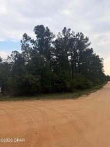 Deshutes Drive, Alford, Florida 32420, Stati Uniti
