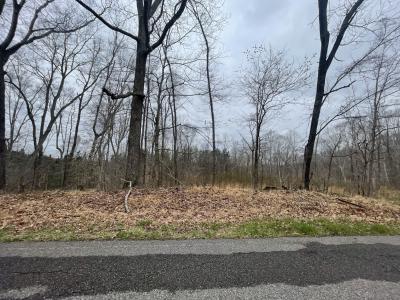 1 Forest Trl, Bumpus Mills, Tennessee 37028, États-Unis