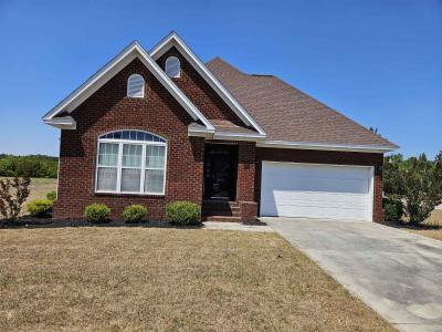 543 Mingo Trail, Johnsonville, South Carolina 29555