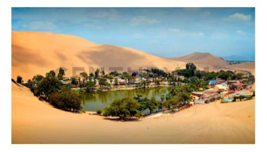 Las Acacias , Ica, Ica 00001, Peru