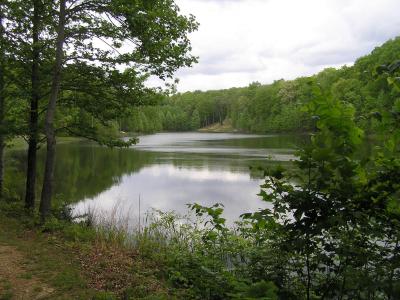 100 Valley View Dr, Altamont, Tennessee 37301, USA