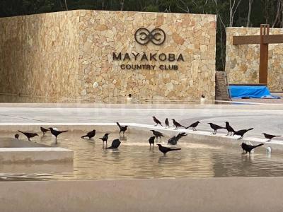 MAYACOBA COUNTRY CLUB MXV5+XPG Playa del Carmen, Quintana Roo,, Cancún/Benito Juárez, Quintana Roo 77500, Mexico