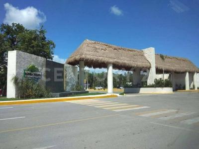 Nacar 1,, Tulum, Quintana Roo 77760, Mexico