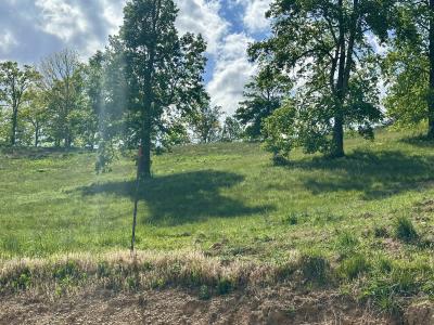 754 Pittsburg Landing Tract 26, 伦敦, 肯塔基州 40741, 美国