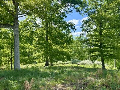 119 Hawk Landing Tract 23, 伦敦, 肯塔基州 40741, 美国