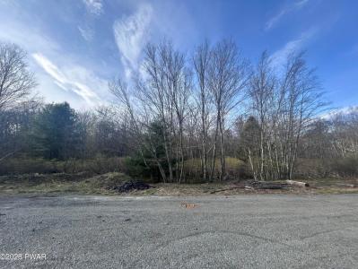 Lot# 501 Fox Road, Dingmans Ferry, Pennsylvania 18328, USA