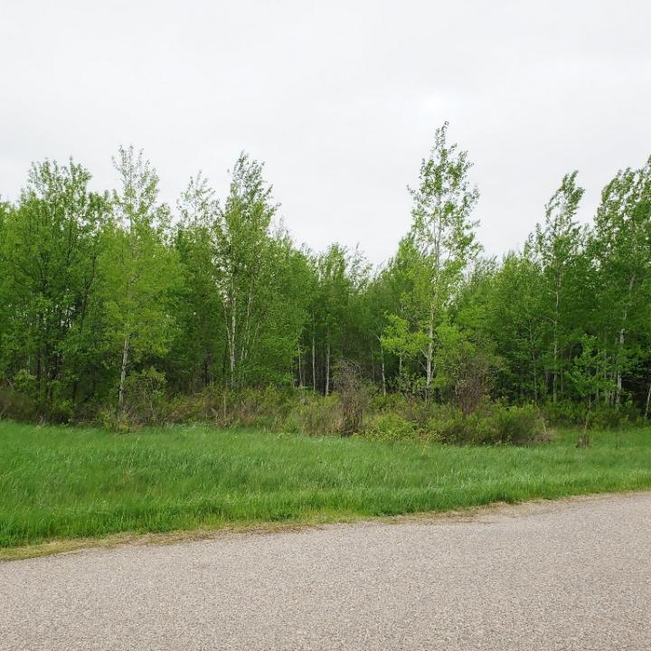 .80 AC Railroad Ave., Argonne, Wisconsin 54511, États-Unis
