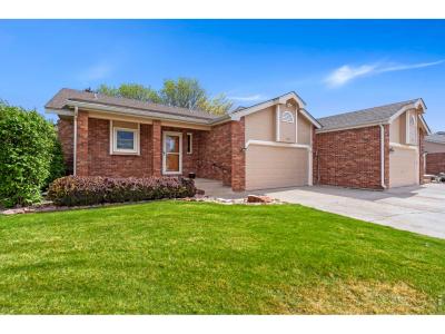 1205 Honeysuckle Ct, Windsor, Colorado 80550, Estados Unidos