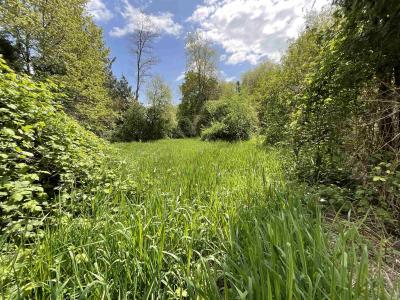 142 KILBY ROAD, Harrison Mills, British Columbia V0M 1L0, Canada