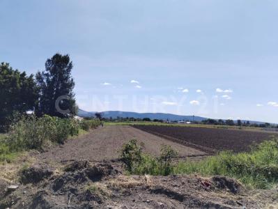 Plutarco Elias Calles 4504,, Atlixco, Puebla 74365, Mexique