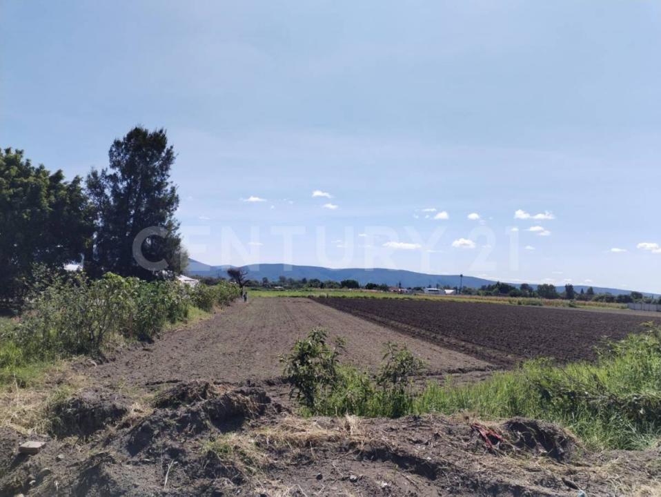 Plutarco Elias Calles 4504,, Atlixco, Puebla 74365, México