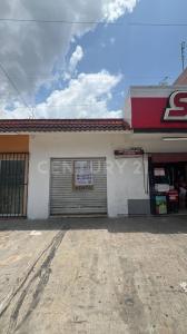 Solidaridad / Riviera Maya, קינטנה רו 77710, מקסיקו 