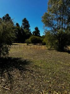 Diguillín, Región De Ñuble 00001, Чили