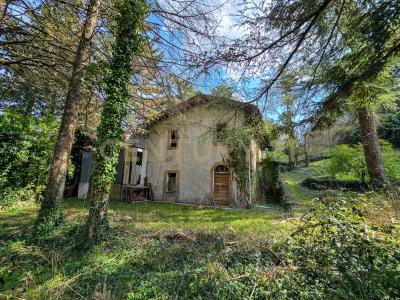 Strada Provinciale 7, Cinigiano, Toscana 58044, Italy