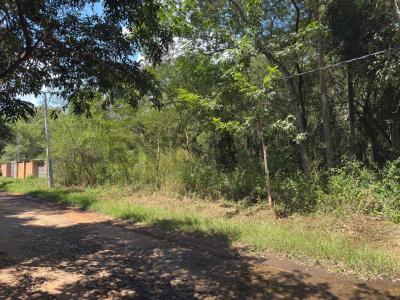 Cristóbal colon , San Bernardino, Cordillera 00001, Paraguay