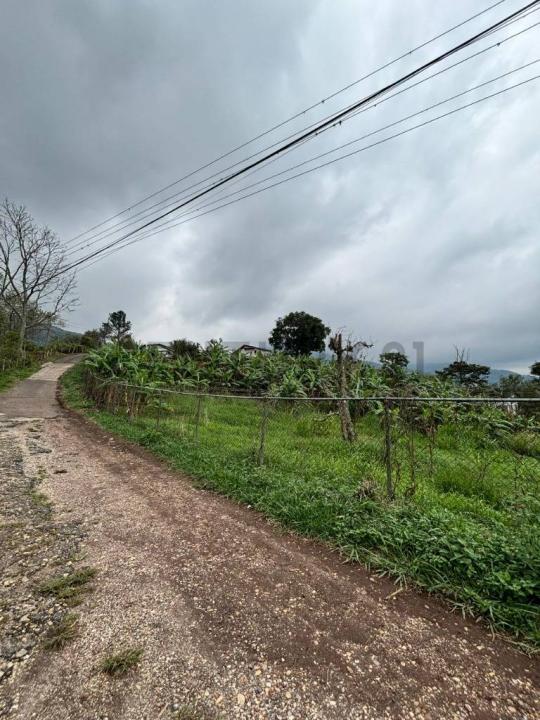 Calle Principal , Palo Gordo, Táchira 5001, Venezuela