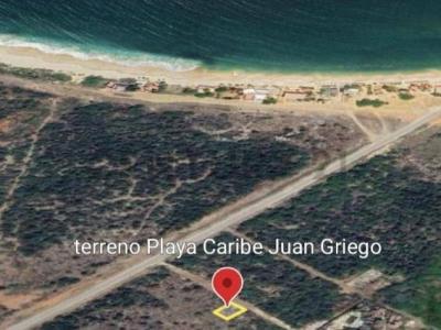 Juan Griego, Nueva Esparta 00001, Venezuela