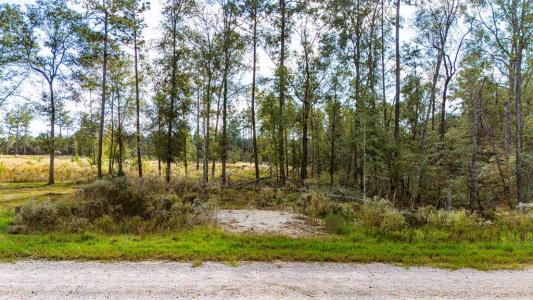 922 Rolling Pines Dr, Livingston, Teksas 77351, Amerika Birleşik Devletleri