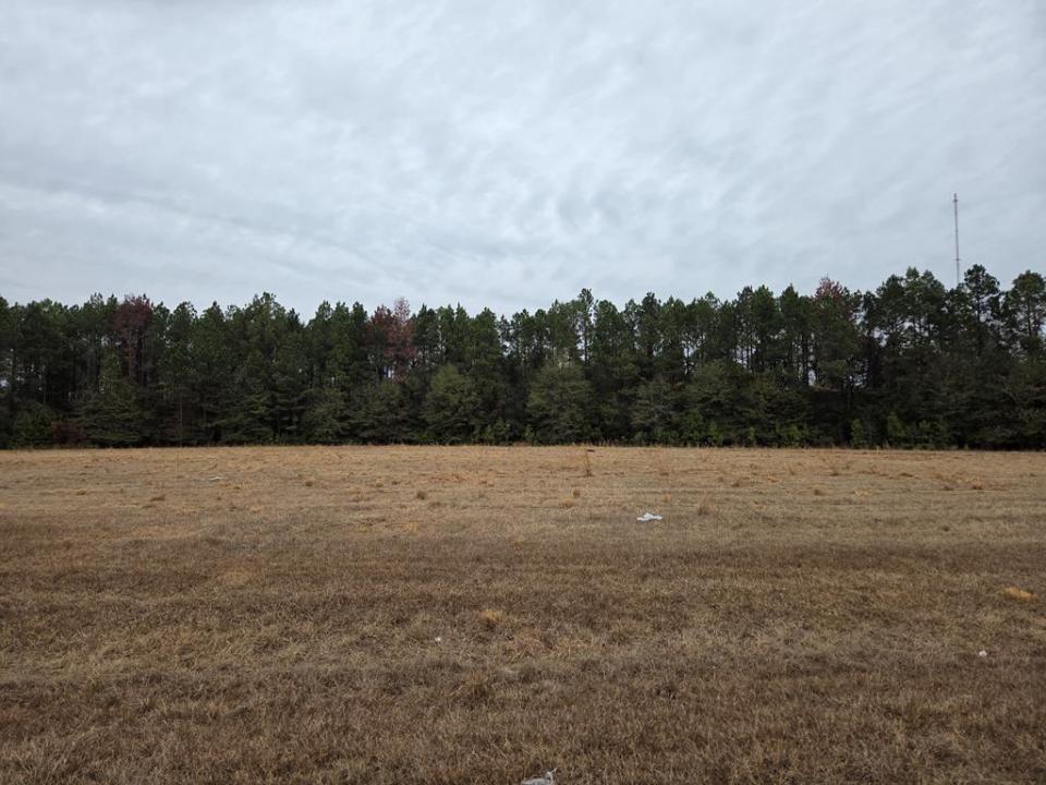 118 Joe Wright Drive/new Harvest Road Lot D, Cordele, Georgia 31015, USA
