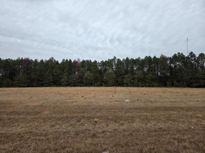 118 Joe Wright Drive/new Harvest Road Lot A, Cordele, Georgia 31015, Stati Uniti