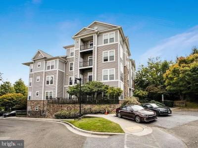 1301 Karen Boulevard , 401, Capitol Heights, Maryland 20743, USA