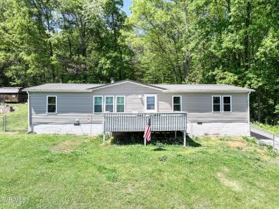 207 East Lane Street, Church Hill, Tennessee 37642, États-Unis