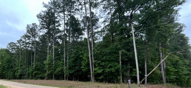 56.48 acres Ouachita 387, Camden, Arkansas 71701, USA