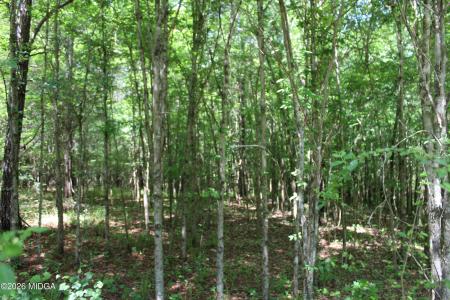 Lot 5 Jenkins Road, Forsyth, Georgia 31029, USA