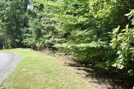 112 River Pointe Drive, Greeneville, 田纳西州 37745, 美国