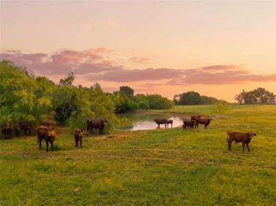 321 Hcr 2122 E, Whitney, Texas 76692, USA