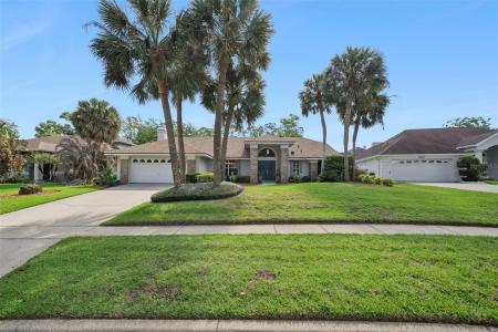 8455 Island Palm Circle, ORLANDO, Florida 32835, USA