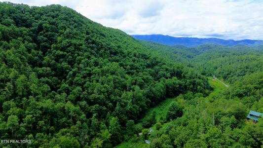 Carrs Creek Rd, Townsend, Tennessee 37882, USA