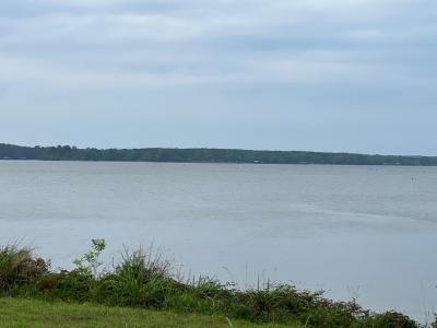 4006 Highway 1215, Zwolle, Louisiana 71486, Stati Uniti