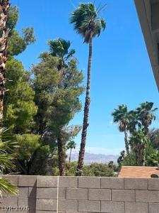 4078 Autumn Street, Las Vegas, Nevada 89120, USA