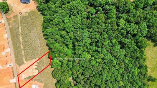 Lot 6 Parris Farm Road, Chesnee, Carolina Do Sul 29323, Estados Unidos