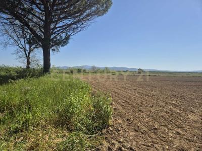 loc. Badia Vecchia, Castiglione Della Pescaia, Toscana 58043, 이탈리아