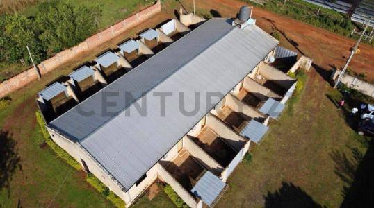 San Ignacio, Misiones 00001, Paraguay