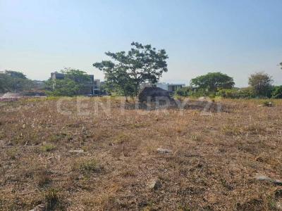 Azalea, Altozano 79,, Cuauhtemoc, Colima 28530, Mexiko