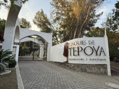 Condominio Boutique Bosques de Tepoya ,, San Pedro Cholula, Puebla 72761, Mexico