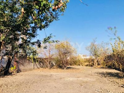 Jiutepec, Morelos 62566, Mexico